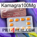 Kamagra100Mg new13